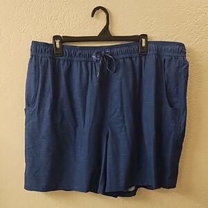 Blue Casual Shorts